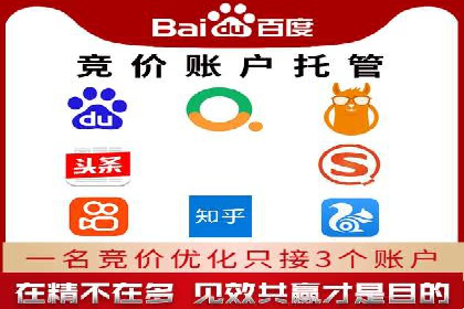 案例解析：竞价推广代运营助力企业实现精准营销
